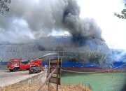 Kebakaran KM Mutiara Sentosa 2: Pencarian Korban dan Evakuasi Lanjutan
