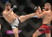 Magomed Ankalaev Dominasi UFC Abu Dhabi, Navajo Stirling Siap Hadapi Jan Blachowicz di UFC Belgrade
