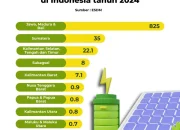 Mati Listrik di Indonesia: Pemerintah Didesak Hapus Kebijakan Kuota PLTS Atap