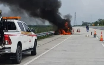 Mobil Listrik BYD Seal Terbakar di Tol Cikampek, Diduga Korsleting
