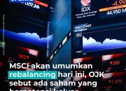 MSCI Segera Umumkan Rebalancing Saham, OJK Berharap Pembekuan Dicabut