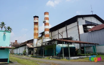 Pabrik Gula di Indonesia: Dari Peninggalan Sejarah Hingga Kontribusi pada Swasembada Gula Nasional