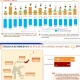 Pemerintah Fokus Pengentasan Kemiskinan, Penduduk Miskin Turun Jadi 8,07 Persen