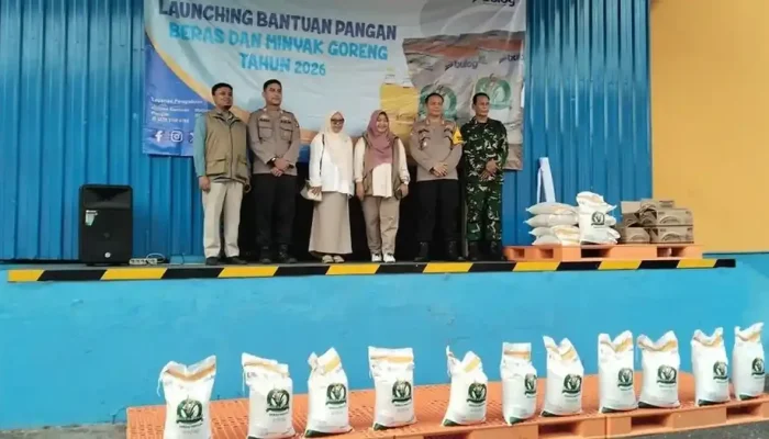 Pemerintah Salurkan Bantuan Beras 30 Kg ke 33 Juta Keluarga, Ini Jadwal Penyalurannya