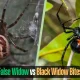 Penipu ‘Black Widow’ Dibekuk Setelah 16 Bulan Bersembunyi di Tenerife