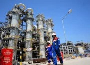 Pertamina: Dari Produksi Minyak Hingga Asuransi Umum, Inilah Cerita di Balik Kinerjanya
