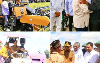 Prabowo Subianto Dukung Pengembangan Padi Organik PS-08 untuk Meningkatkan Ketahanan Pangan Nasional