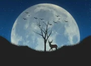 Purnama Buck Moon: Fenomena Langit yang Menghadirkan Keberuntungan dan Pesona Alam