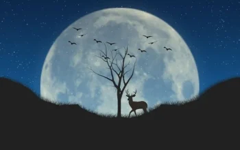 Purnama Buck Moon: Fenomena Langit yang Menghadirkan Keberuntungan dan Pesona Alam