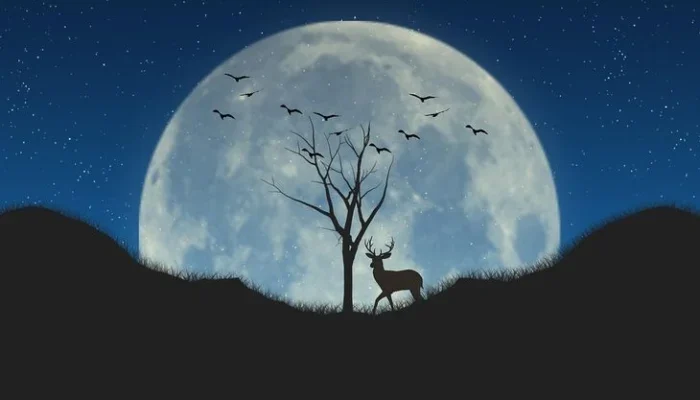 Purnama Buck Moon: Fenomena Langit yang Menghadirkan Keberuntungan dan Pesona Alam