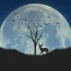 Purnama Buck Moon: Fenomena Langit yang Menghadirkan Keberuntungan dan Pesona Alam