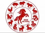 Ramalan Zodiak dan Shio: 4 Shio yang Diprediksi Paling Hoki di Agustus 2026
