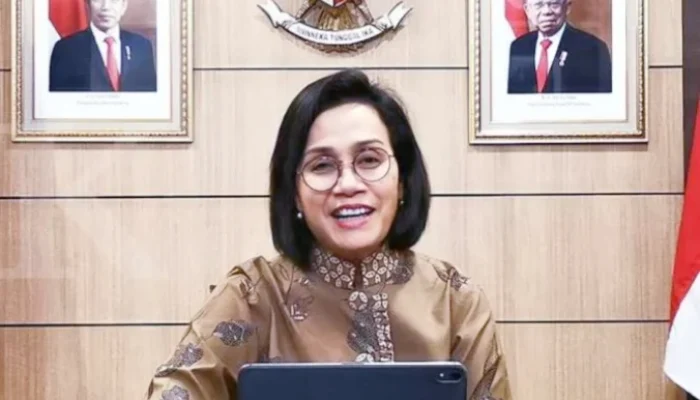Sri Mulyani Terpilih sebagai Independent Co-Chair IDA22, Ini Tugasnya