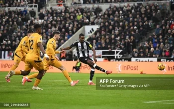 Wolves dan Newcastle United: Dua Tim yang Berjuang untuk Membangun Masa Depan