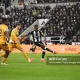Wolves dan Newcastle United: Dua Tim yang Berjuang untuk Membangun Masa Depan