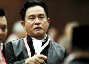 Yusril Ihza Mahendra: Kasus Penghinaan Presiden dan Tantangan Ad-Dhuha Berhadiah Miras